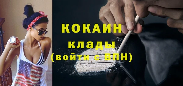 не бодяженный Бородино